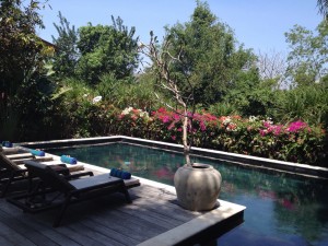 Pool with flowers